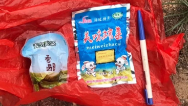 澳門最精準龍門，探索真實的精準之道，澳門最精準龍門，揭秘真實精準之道