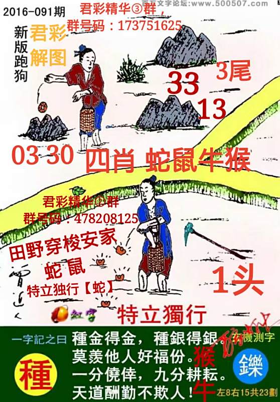揭秘7777788888精準新跑狗圖，全方位解讀其背后的秘密，揭秘新跑狗圖7777788888，全方位解讀背后的真相與秘密