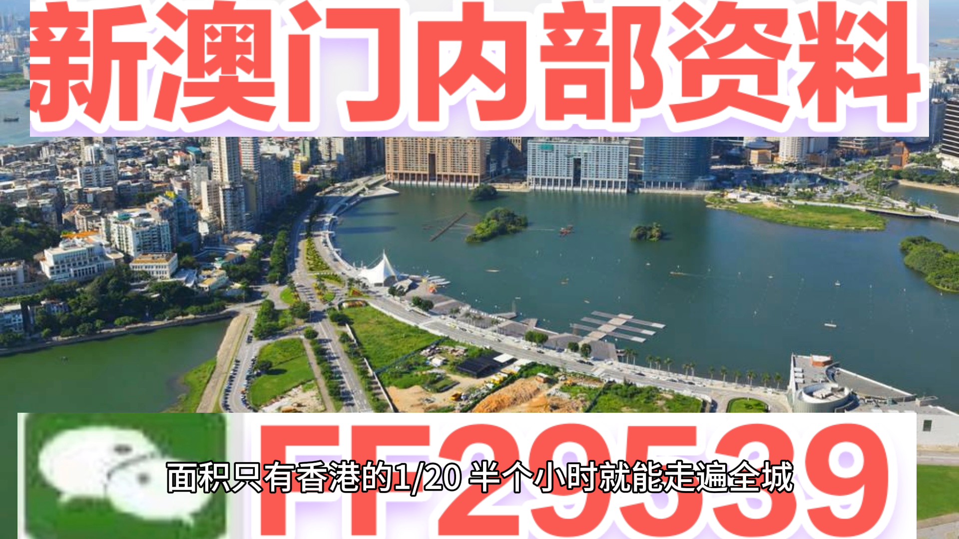 澳門彩票預(yù)測與探索，新澳門04期今晚資料分析（2025年），澳門彩票預(yù)測與探索，新澳門第04期今晚資料深度分析（2025年展望）