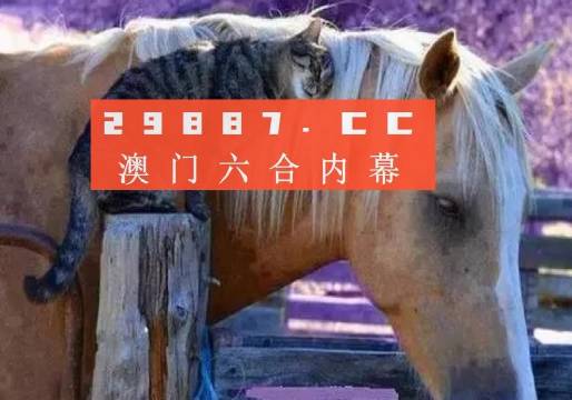 澳門一肖一碼一待一中四不像，探索與解析，澳門一肖一碼一待一中四不像，深度解析與探索