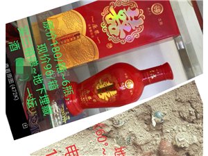 王中王一肖論一壇，深度探討與SEO優(yōu)化策略，王中王一肖論壇，深度探討與SEO優(yōu)化策略分享